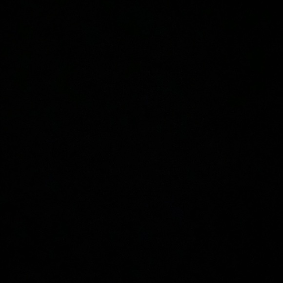 Meet your Posher, Sasha - Picture 1 of 1